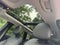 2026 Mercedes-Benz GLC GLC 350e 4MATIC®
