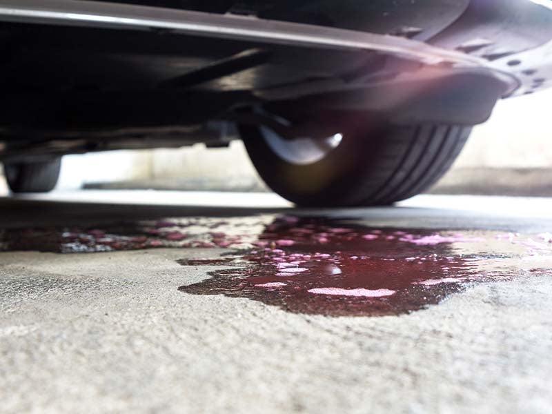 Pinkish-red fluid forms a large puddle under the front of a car, indicating a leak